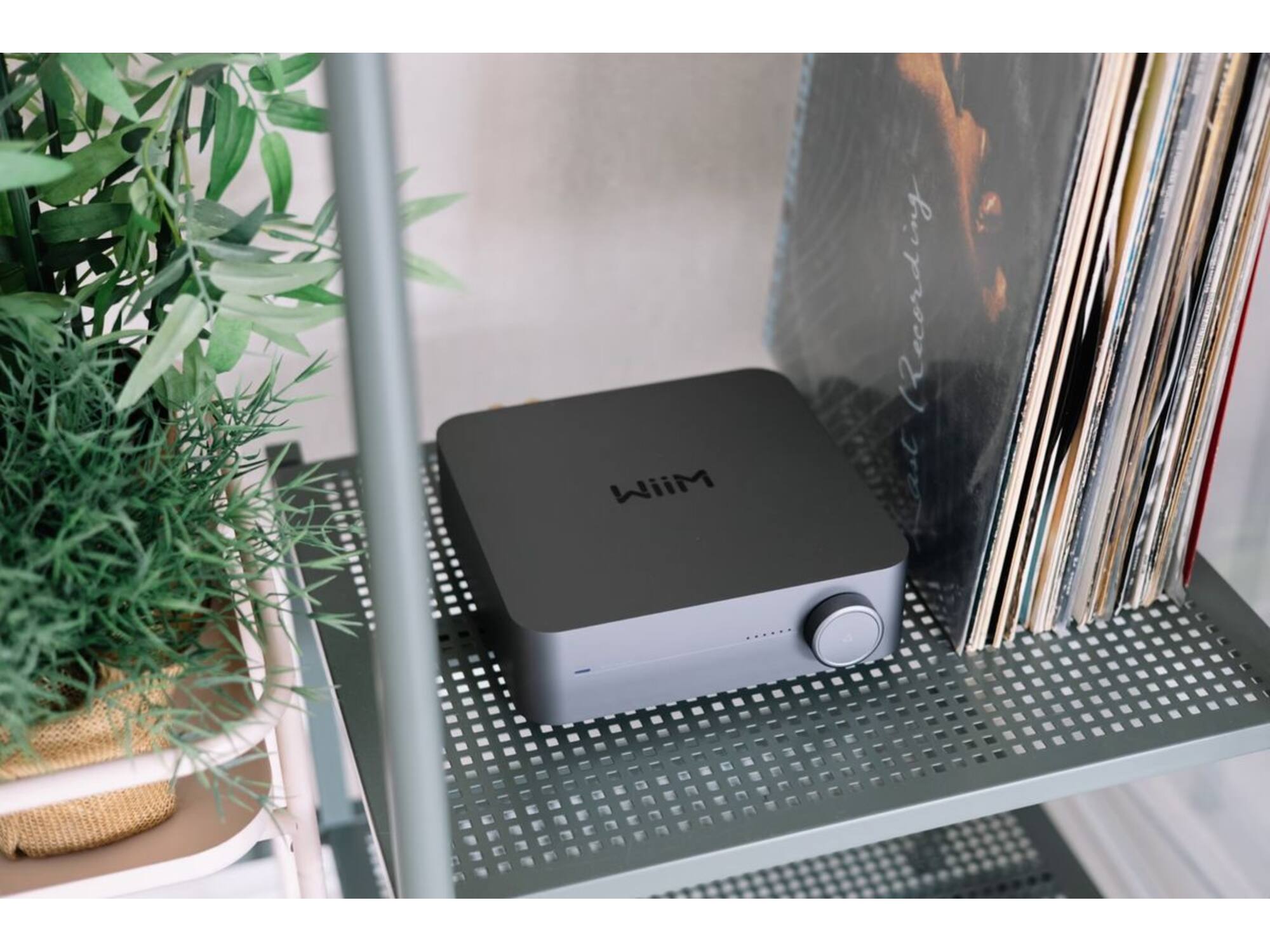 WiiM Amp Pro