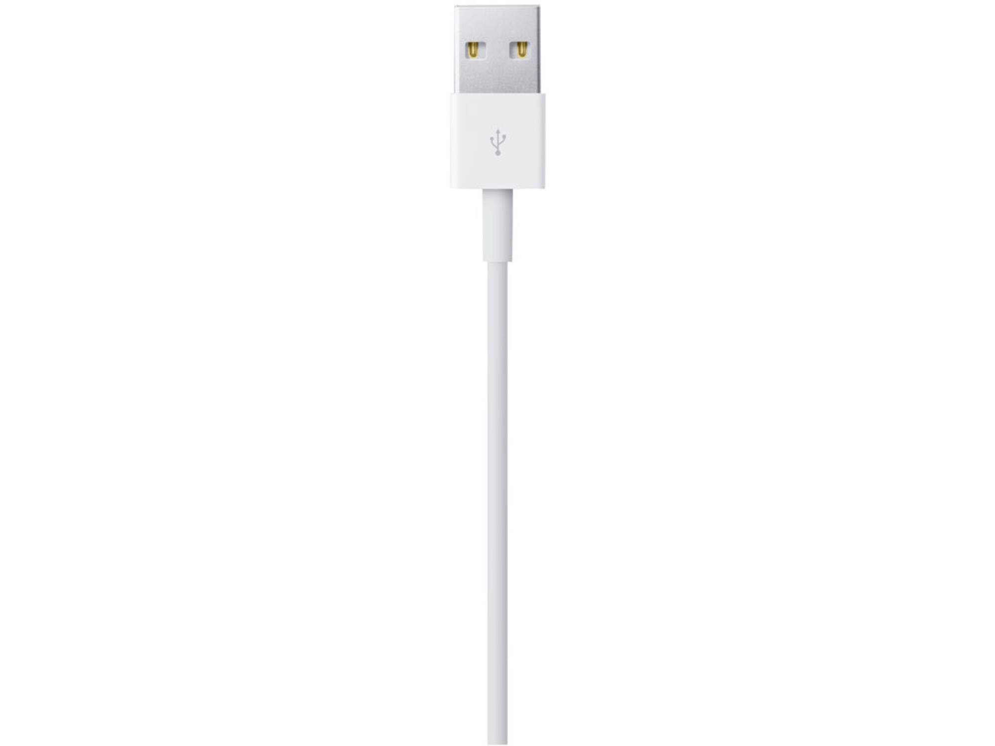 Apple Lightning to USB Cable 1 Meter