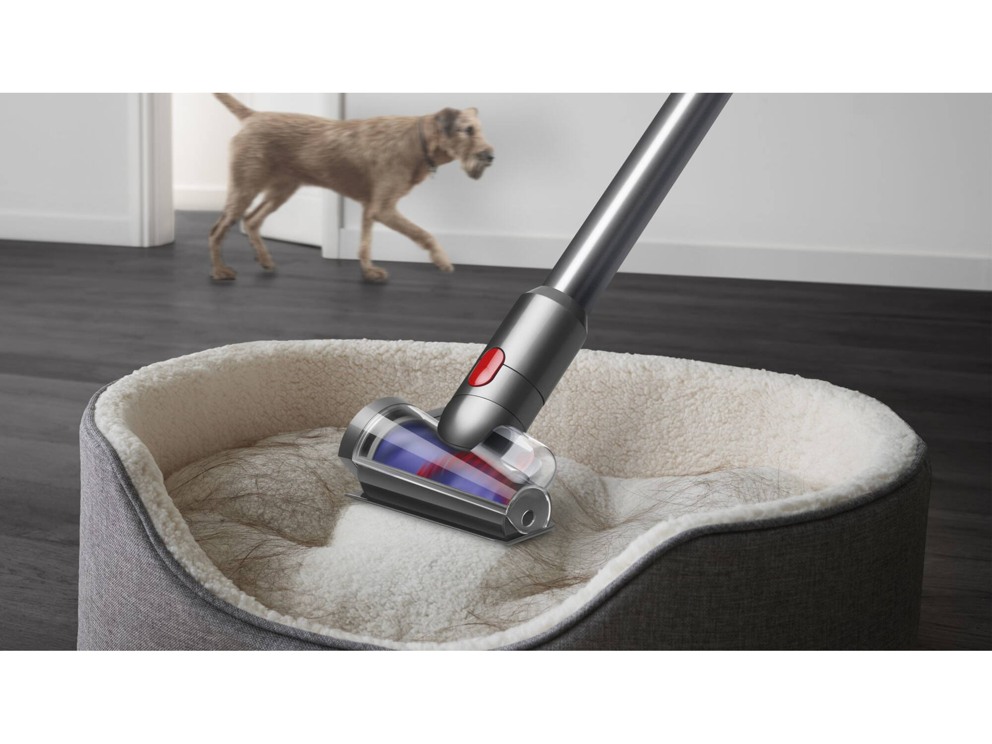 Dyson V12 Detect Slim Absolute (2023)