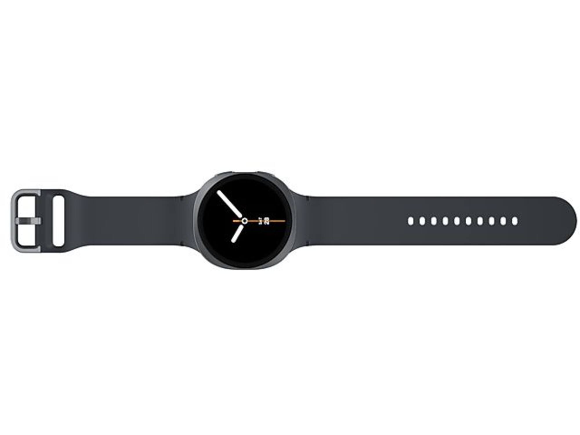 Samsung Galaxy Watch8 44mm Grafiet