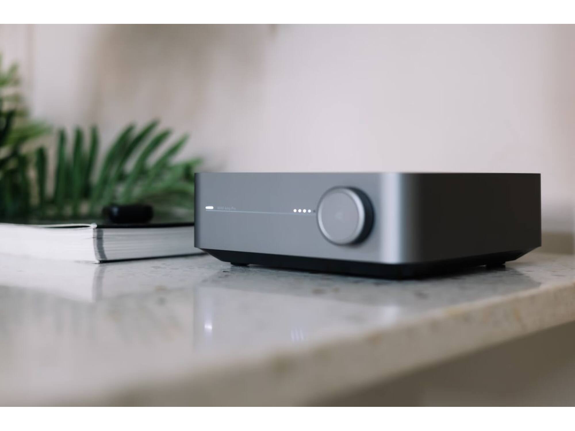 WiiM Amp Pro