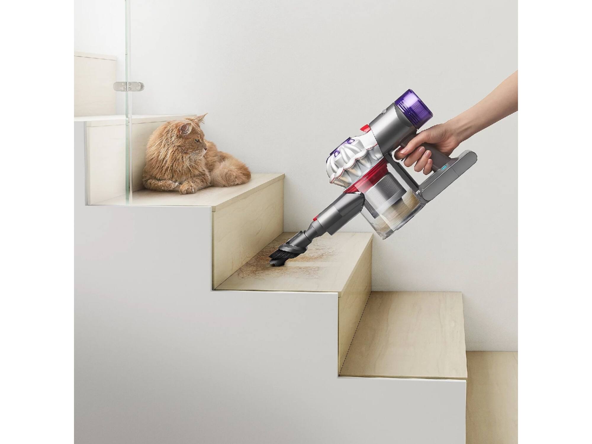 Dyson V8 Car & Boat