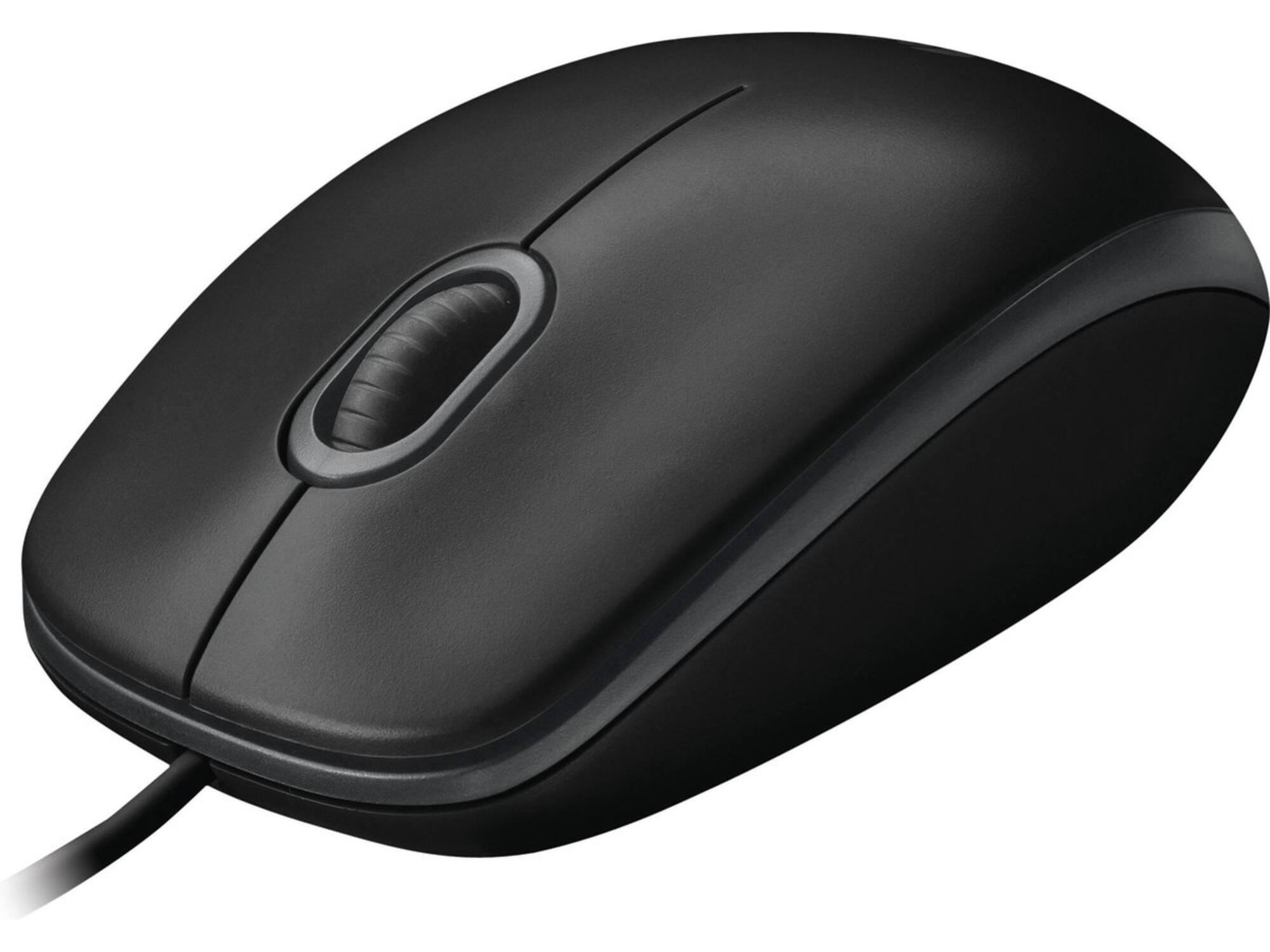 Logitech B100