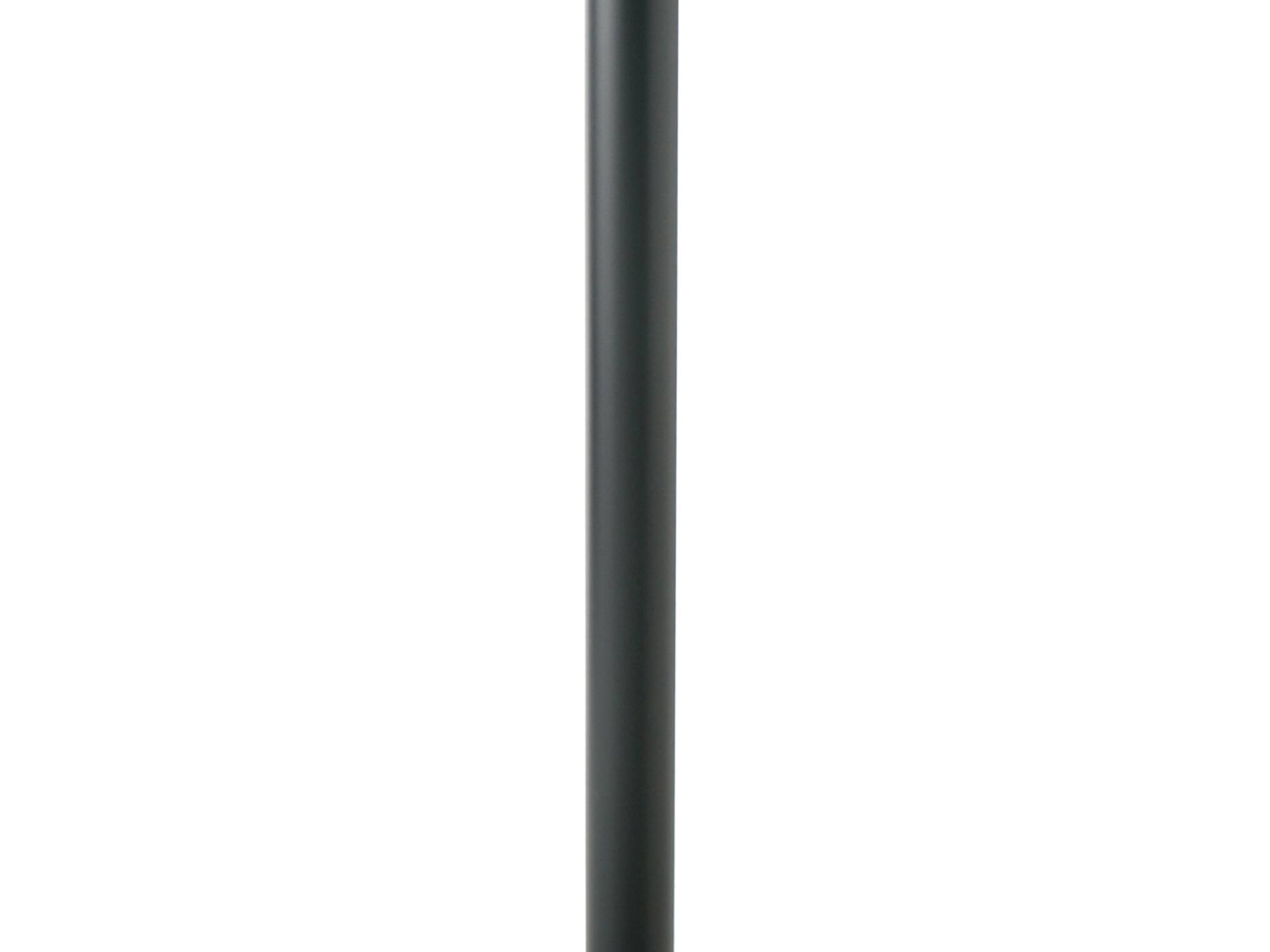 Cavus Kolom 50mm rond - hoogte 120cm zwart staal