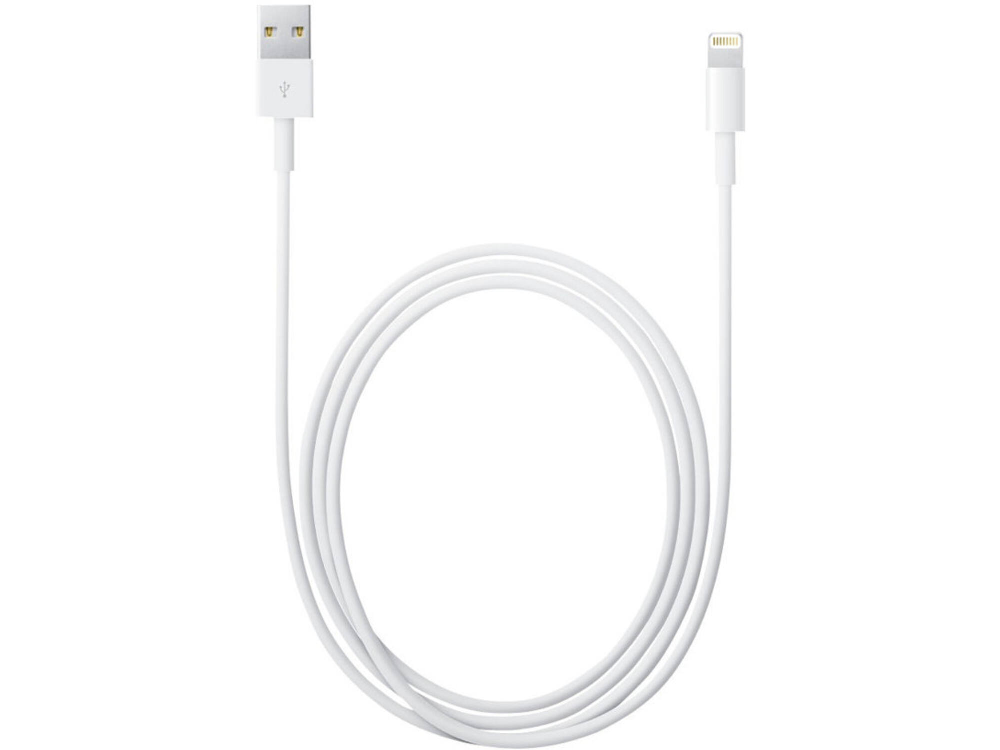 Apple Lightning to USB Cable 1 Meter