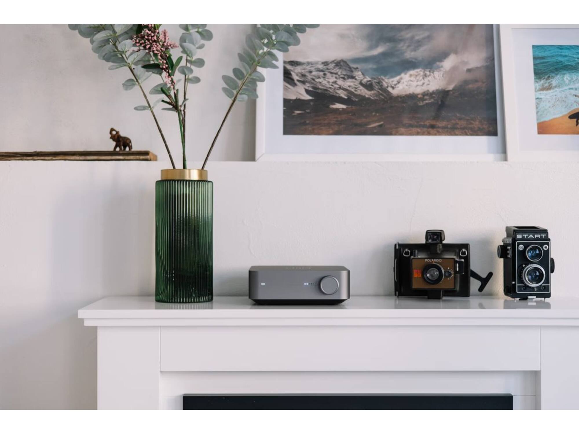 WiiM Amp Pro