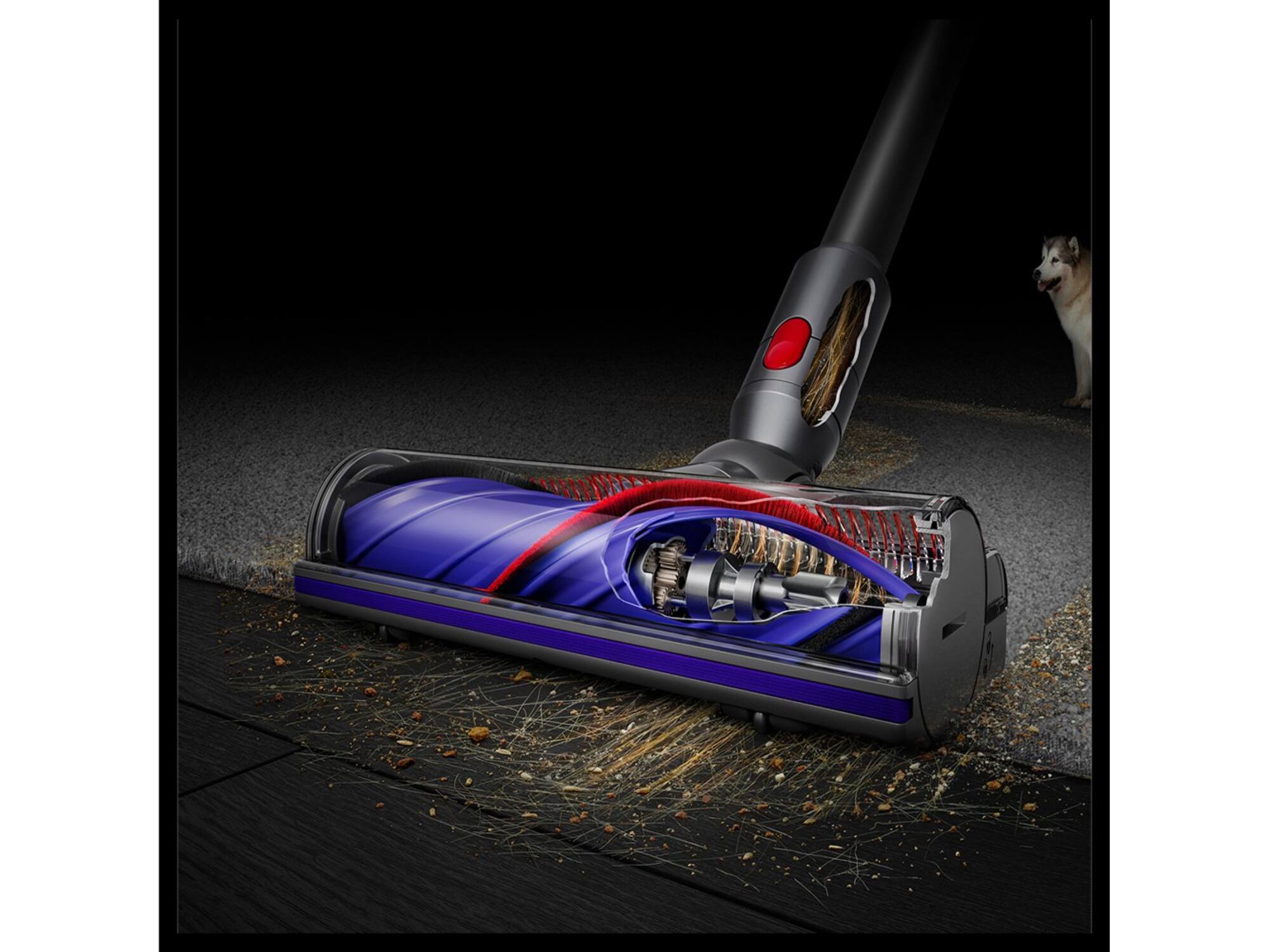 Dyson Cyclone V10s Submarine
