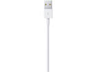 Apple Lightning to USB Cable 1 Meter