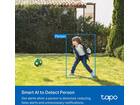 TP-Link Tapo C410