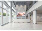 Vogel's PFW 6900 Display muurbeugel