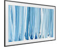 Samsung The Frame Pro 65LS03HW (2026)