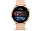 Garmin Vivoactive 6 Pink Dawn