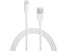 Apple USB naar Lightning kabel 0.5m