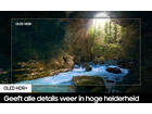 Samsung OLED 4K 65S93D (2024)