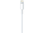 Apple Lightning to USB Cable 1 Meter