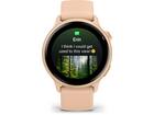 Garmin Vivoactive 6 Pink Dawn