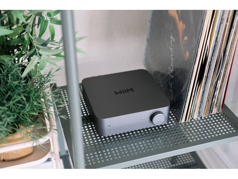 WiiM Amp Pro