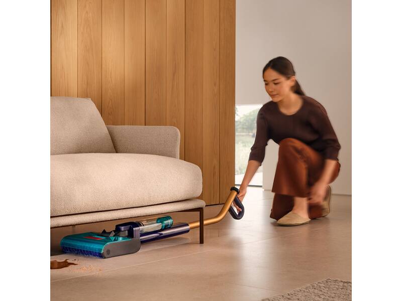 Dyson Clean+Wash Hygiene