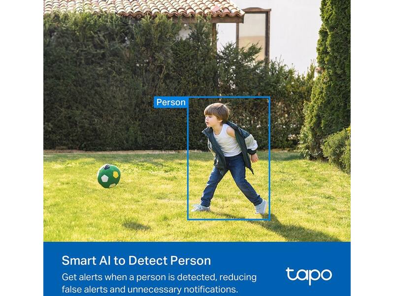 TP-Link Tapo C410