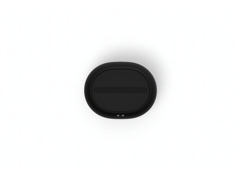 Sonos Move 2 zwart