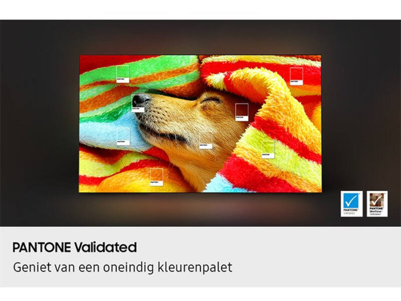 Samsung OLED 4K 55S85F (2025)