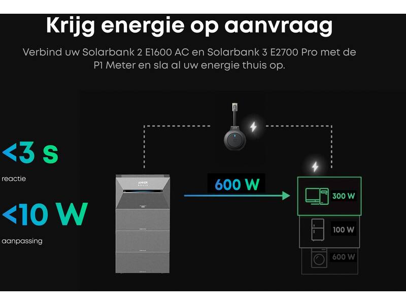 Anker SOLIX P1 Meter