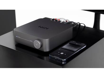 WiiM Amp Grijs