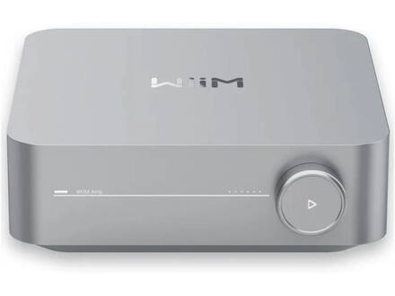 WiiM Amp Zilver