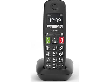 Gigaset E290R