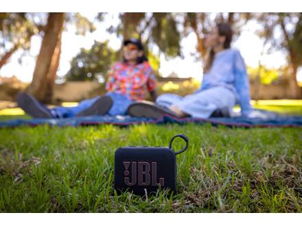 JBL Go 4 Zwart