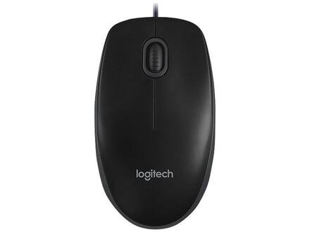 Logitech B100