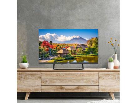 Smart Tech 24HN01V1C