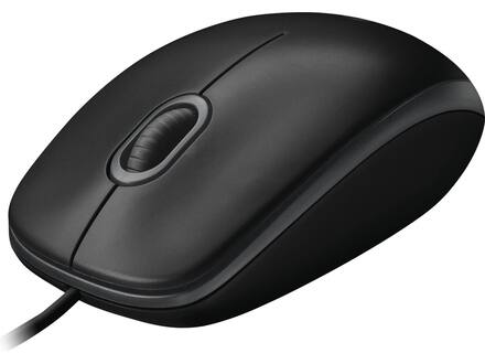 Logitech B100