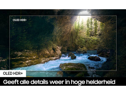 Samsung OLED 4K 65S93D (2024)