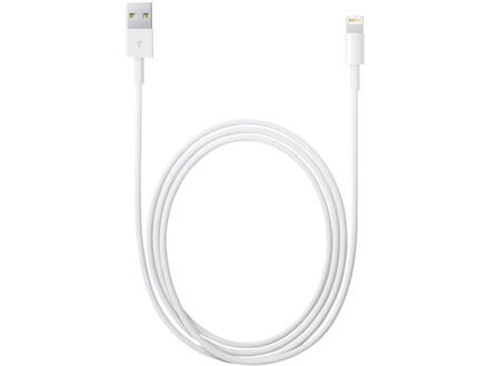 Apple Lightning to USB Cable 1 Meter
