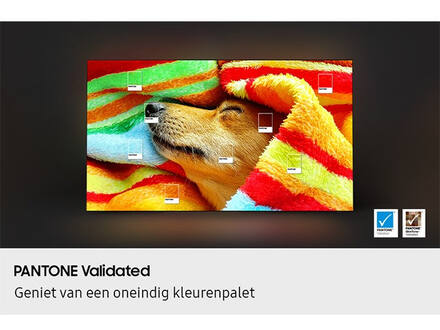 Samsung OLED 4K 55S85F (2025)