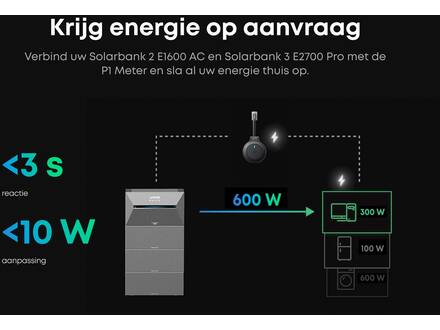 Anker SOLIX P1 Meter
