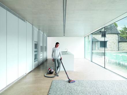 Dyson Cinetic Big Ball Absolute 2